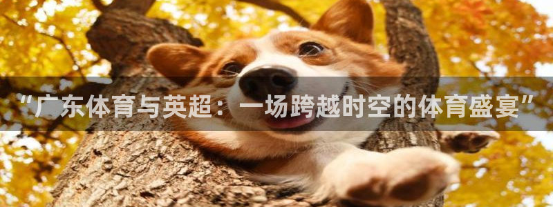 “广东体育与英超：一场跨越时空的体育盛宴”