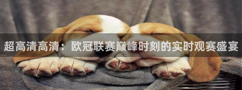 超高清高清：欧冠联赛巅峰时刻的实时观赛盛宴